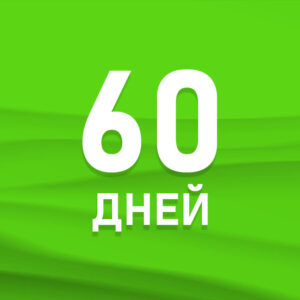 60 дней